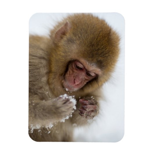 Baby Japans Macaque | Sneeuwaap Magneet (Verticaal)