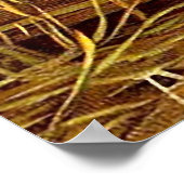 Baby Jesus Poster (Hoek)