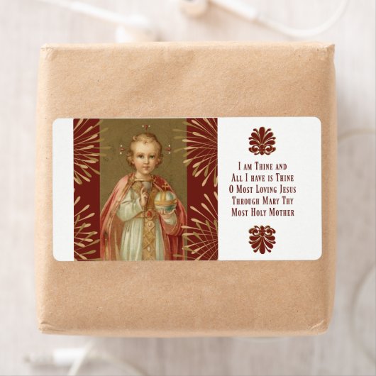 Baby Jezus van Praag Etiket (Insitu)