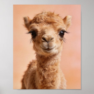Baby Kameel Portret – Woestijn Nursery Muurkunst Poster