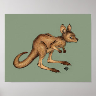 Baby Kangaroo/ Joey over groene achtergrond Poster