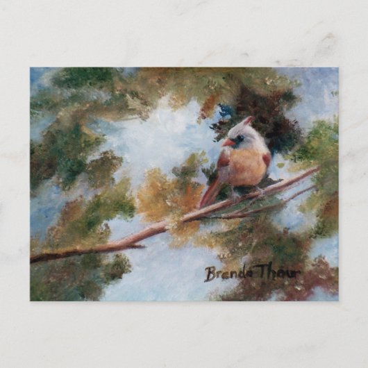 Baby Kardinaal Briefkaart (Voorkant)