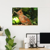 Baby kardinaal poster (Thuiskantoor)