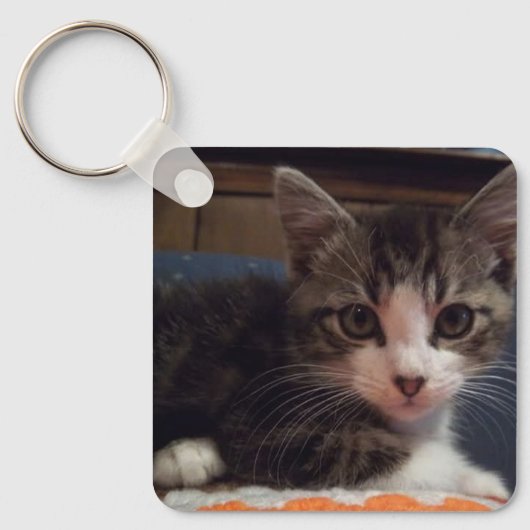 Baby Keeno Kitten Sleutelhanger (Voorkant)