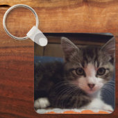 Baby Keeno Kitten Sleutelhanger (Voorkant)