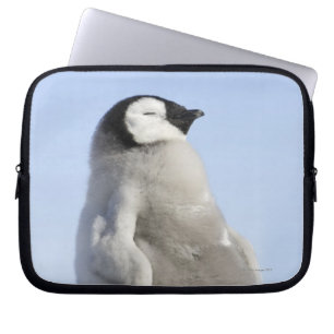 Baby keizer Penguin, Snow Hill Island Laptop Sleeve