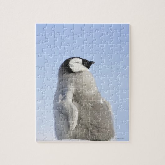 Baby keizer Penguin, Snow Hill Island Legpuzzel (Verticaal)