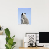 Baby keizer Penguin, Snow Hill Island Poster (Thuiskantoor)