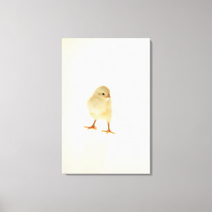 Baby kip canvas afdruk