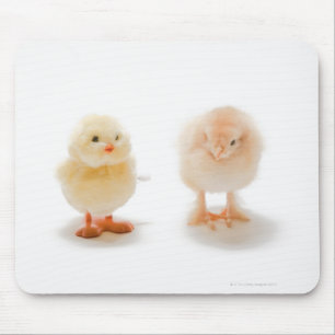 Baby kip en mechanische nepkip muismat