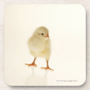 Baby kip onderzetter