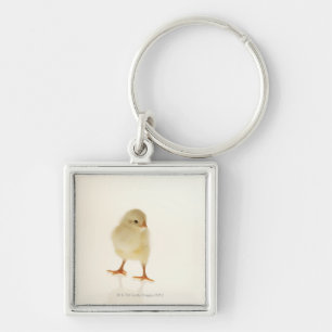 Baby kip sleutelhanger