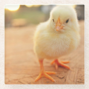 Baby Kippen Glazen Onderzetter