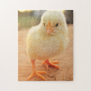 Baby Kippen Legpuzzel