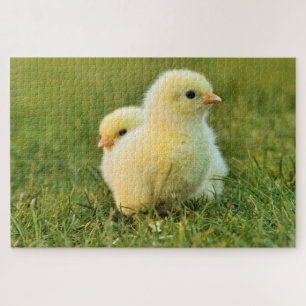 Baby-kippuzzel Legpuzzel