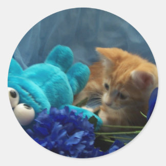 baby kitten Cole Ronde Sticker