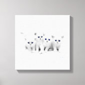 Baby Kittens Canvas Afdruk (Voorkant)