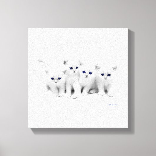 Baby Kittens Canvas Afdruk (Voorkant)
