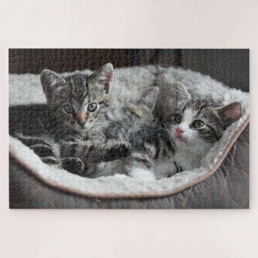 baby kittens puzzel (Horizontaal)