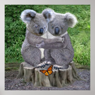 Baby Koala Beer Knuffels Poster
