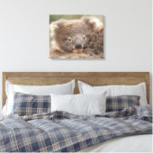 Baby Koala Canvas Afdruk (Insitu (Slaapkamer))