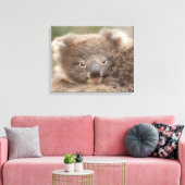 Baby Koala Canvas Afdruk (Insitu (Woonkamer))