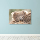 Baby Koala Canvas Afdruk (Insitu (Houten vloer))