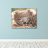 Baby Koala Canvas Afdruk (Insitu (Houten vloer))
