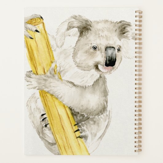 Baby Koala | Cute & Furry (Dos)