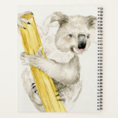 Baby Koala | Cute & Furry (Dos)