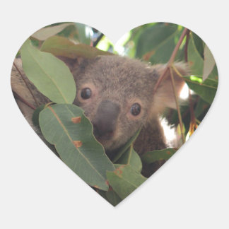 Baby Koala Hart Sticker