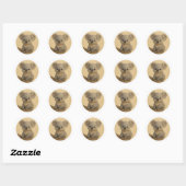 Baby koala ronde sticker (Vel)