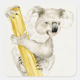 Baby Koala   Schuine en gier Vierkante Sticker