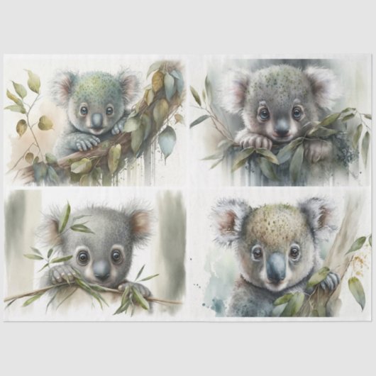 baby Koalas Tissuepapier (Voorkant)