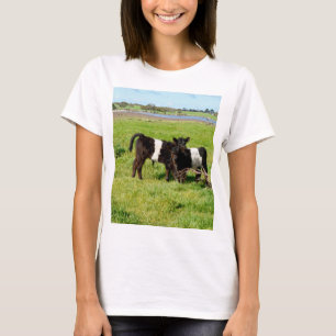 Baby Koeien van de Galloway in country, T-shirt