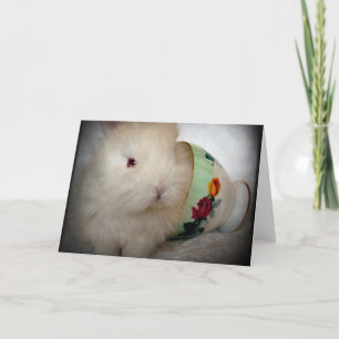 Baby Konijn Alle Gelegenheden Kaart