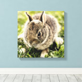 Baby konijn canvas afdruk (Insitu (Houten vloer))