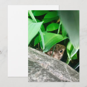 Baby konijn feestdagenkaart