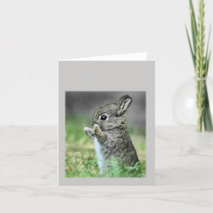 Baby konijn kaart