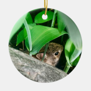 Baby Konijn Keramisch Ornament