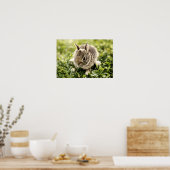 Baby konijn poster (Keuken)