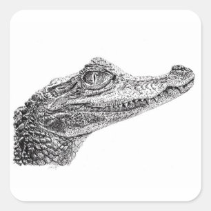 Baby Krokodilleninktekening Vierkante Sticker