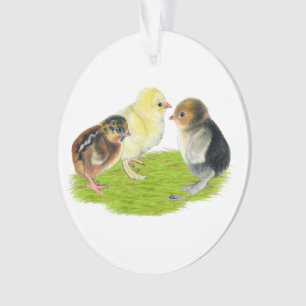 Baby Kuiken Trio Ornament