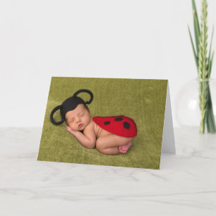 Baby Lady Beetle - Baby Kaart