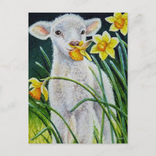 Baby Lamb en Lente Daffodils Waterverf Art Post Briefkaart
