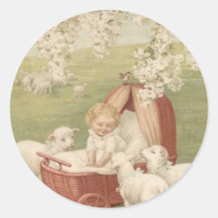 Baby Lamb Kornoelje Boom Veld Ronde Sticker