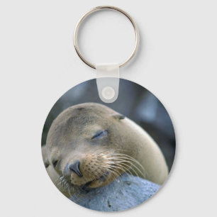 Baby leeuw, Galapagos-eilanden Sleutelhanger