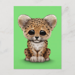 Baby Leopard Cub on Green Briefkaart