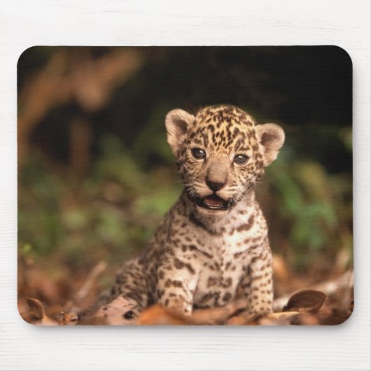 Baby Leopard Mousepad Muismat (Voorkant)