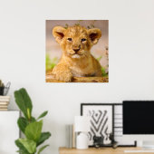 Baby Lion Cub Poster (Thuiskantoor)